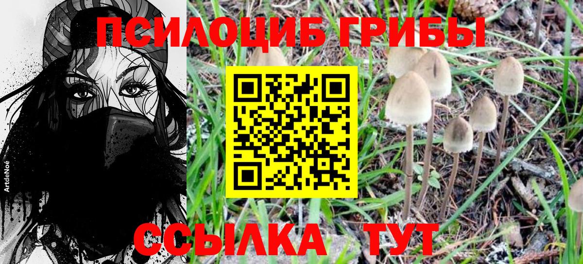 Ликино-Дулёво  Галлюциногенные грибы Cubensis  Галлюциногенные грибы Psilocybe  Вход с VPN 